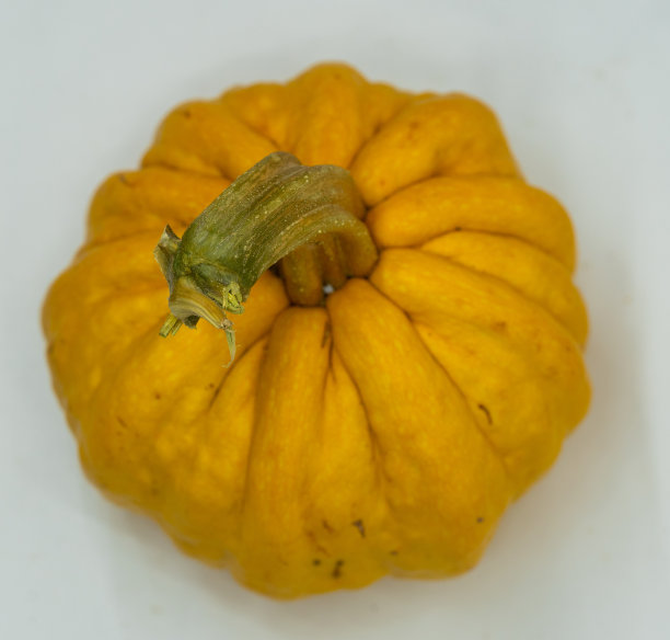 秋天收获的橙色大南瓜图片下载