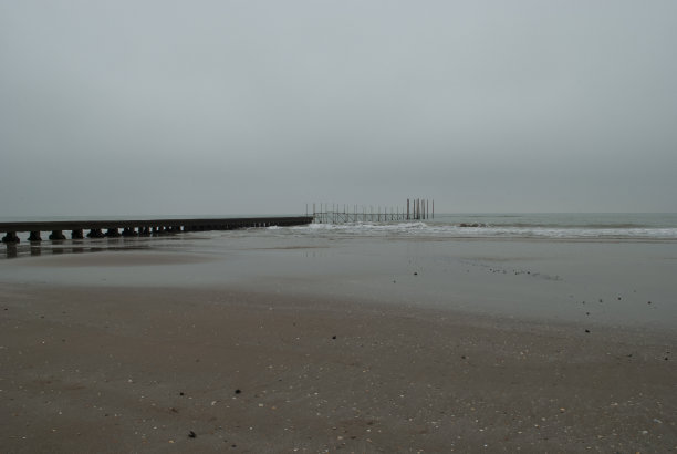 黑色和白色的冬天的海洋图片下载