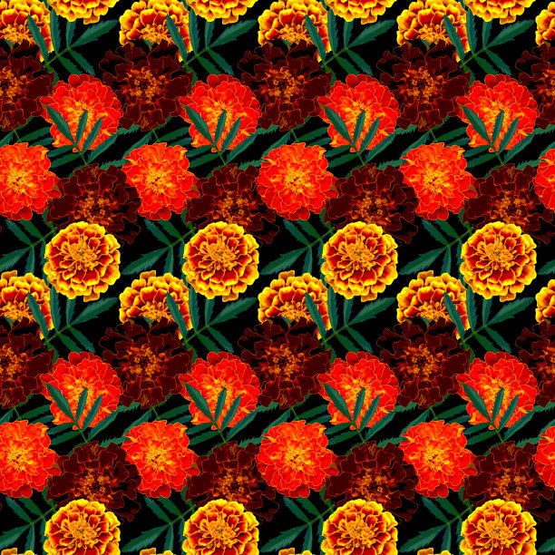 无缝图案，褐色，橙色，黄色万寿菊(法国万寿菊)的花和绿色的叶子在黑色的背景。五彩缤纷的花卉纹理。光栅插图。图片下载