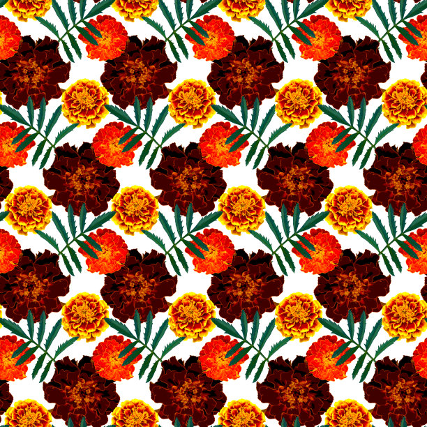 无缝隙图案，花为棕色、橙色、黄色万寿菊(法国万寿菊)，叶子为绿色，背景为白色。五彩缤纷的花卉纹理。光栅插图。图片下载