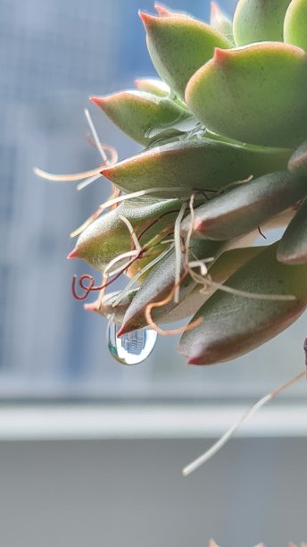 美女与野兽图片下载