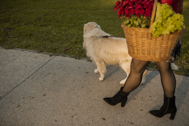 复制空间的女人散步她的狗后，去了标记图片下载