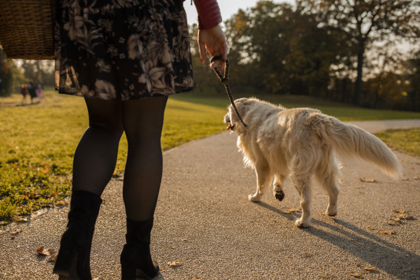 一个女人和她的狗喜欢在阳光下散步图片下载