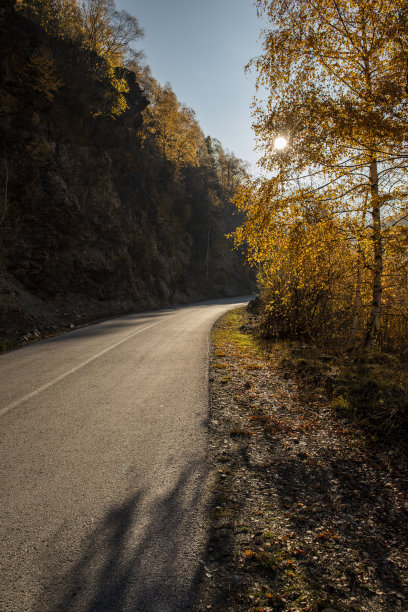 秋天的道路图片下载