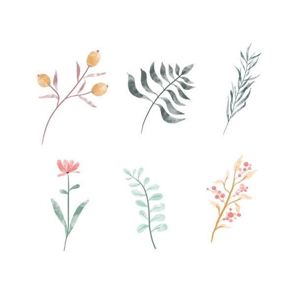 一套水彩花卉元素。花和绿叶。婚礼概念-鲜花。植物的海报,邀请。矢量安排贺卡或邀请设计，孤立背景图片下载