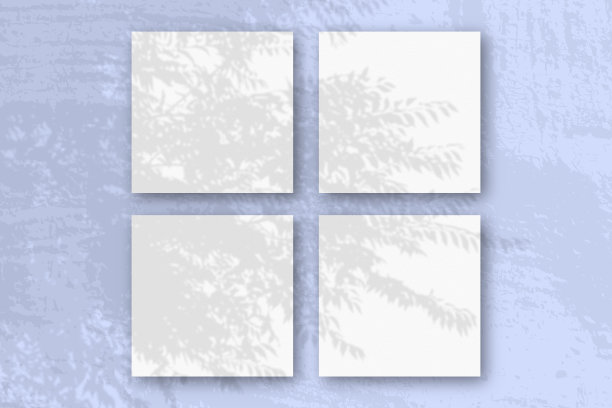 自然光从奇异的植物上投射阴影4张方形的白色纹理纸图片下载