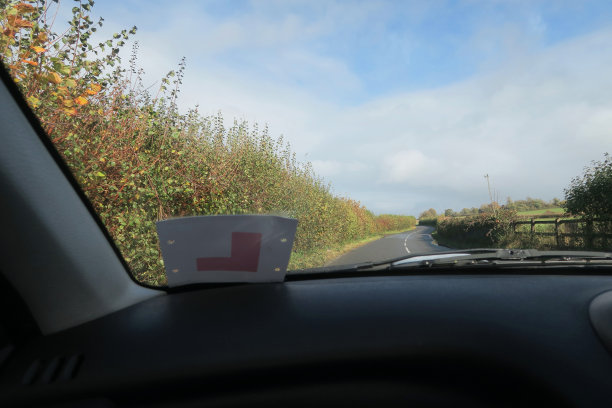 乘客透过带有L型车牌的汽车挡风玻璃，行驶在有树篱的乡村道路上图片下载