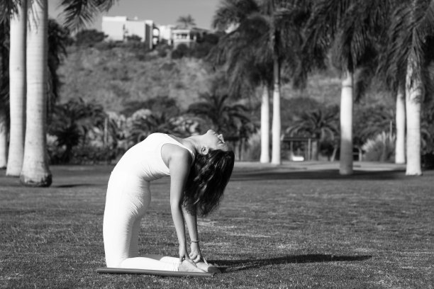 女瑜伽修行者做ustrasana背部弯曲运动在阳光明媚的一天户外图片下载