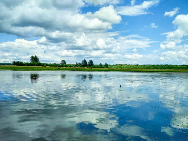夏天的风景有河流和蓝天图片下载