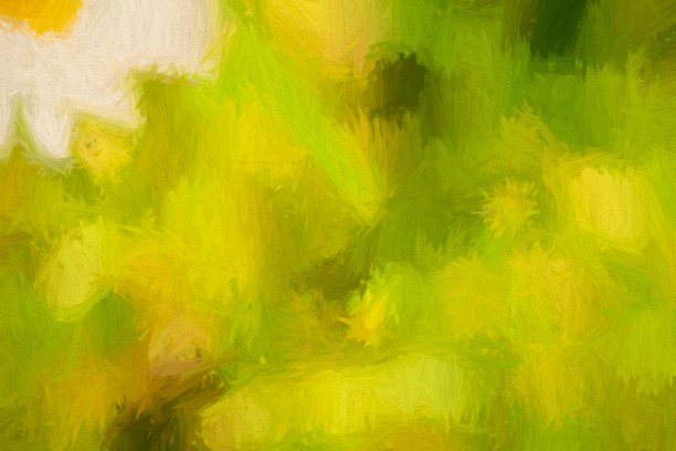 英国花园草坪上的雏菊图片下载