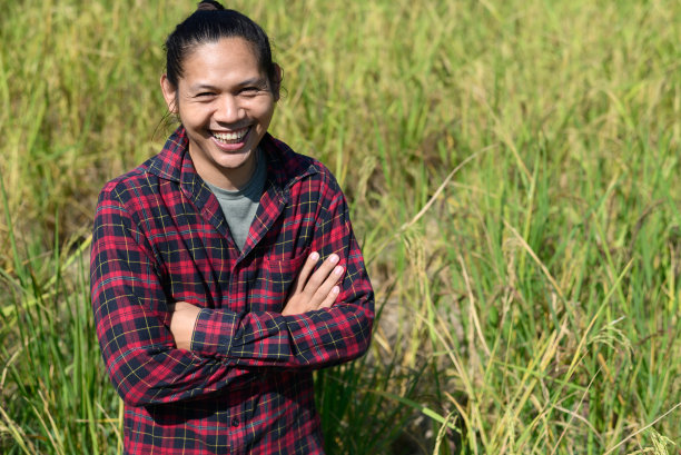 年轻的亚洲农民在有机稻田里图片下载