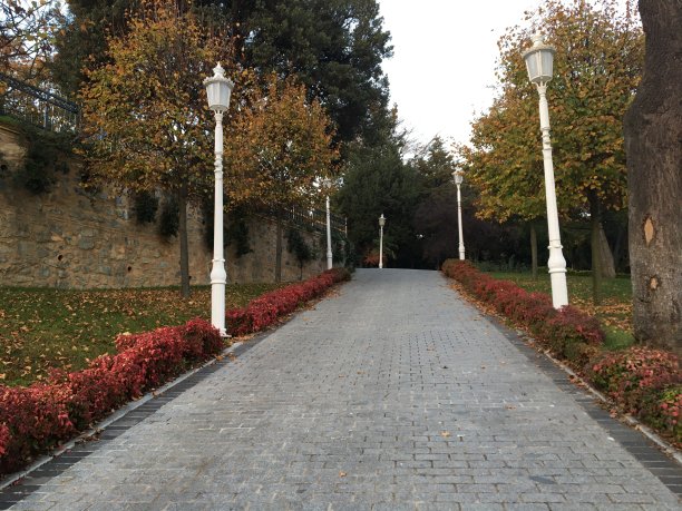 在美丽的森林地区日落的秋天色彩景观图片下载