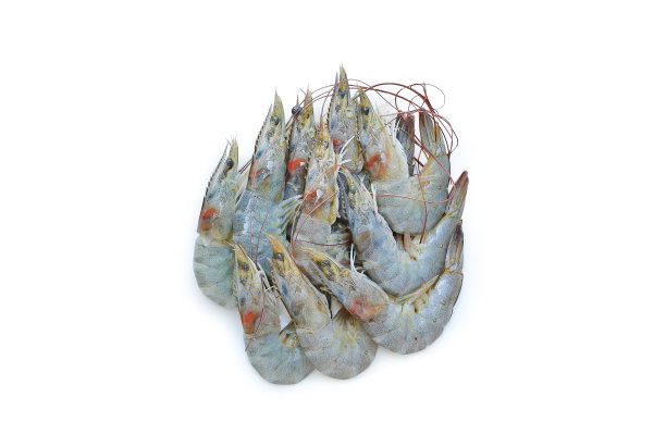 生鲜虾孤立在白色背景图片下载