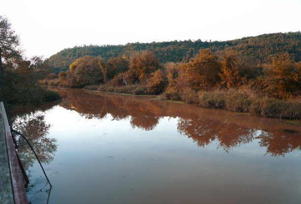 秋天和树图片下载