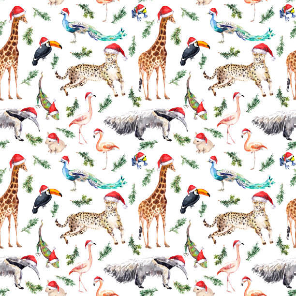 奇异的动物和鸟类戴着红色的圣诞帽和松树树枝。圣诞重复图案。水彩图片下载
