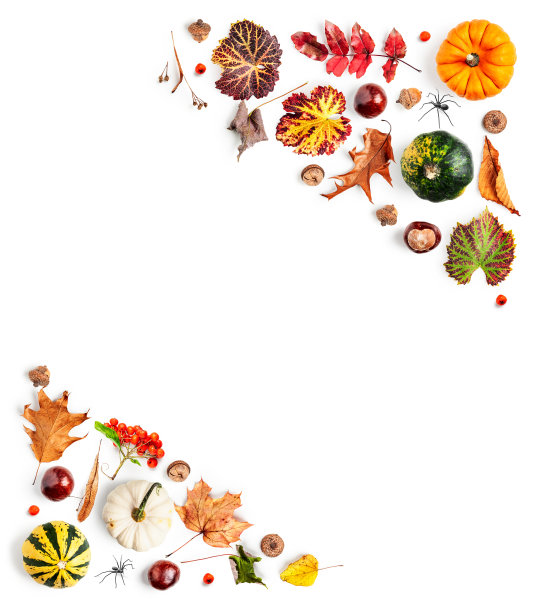 秋天的框架与南瓜和树叶图片下载