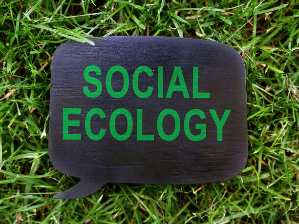 暗板与社会生态上的草。图片下载