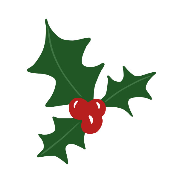 槲寄生孤立在白色背景上。圣诞传统涂鸦。图片下载