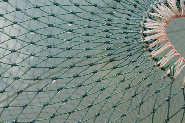 特写的拖网绳与水在绿色的绳子图片下载