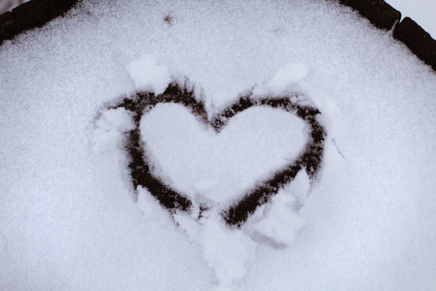 心是画在树干上的雪。浪漫图片下载
