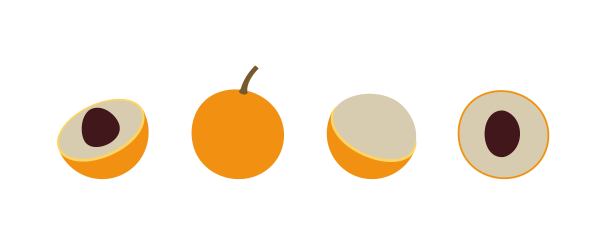 龙眼的标志。白色背景上孤立的龙眼图片下载