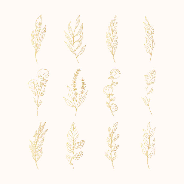 一套金色的花枝和香草。乡村元素的婚礼。矢隔离春金繁盛缘。图片下载