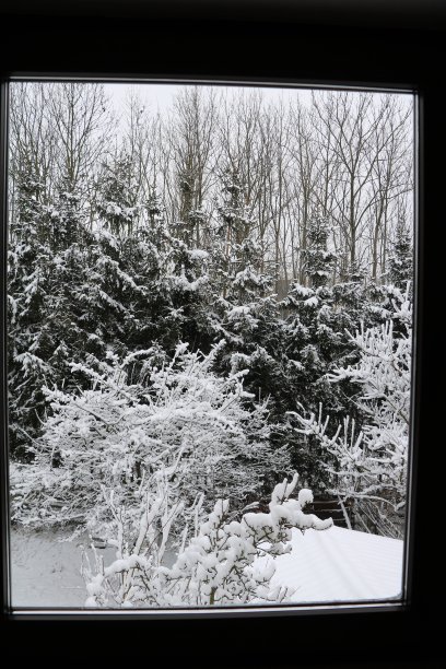 看看德国的冬天图片下载