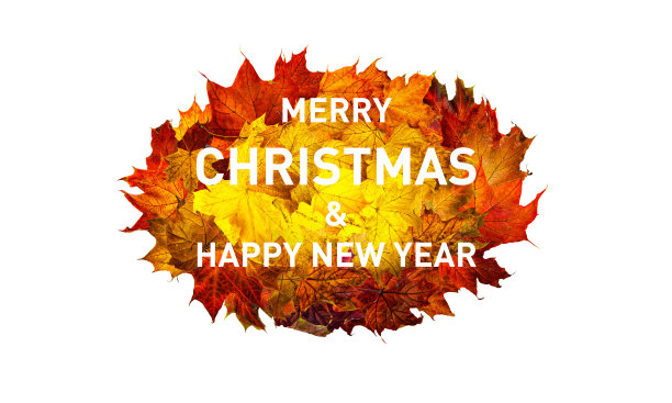 带有文字的贺卡圣诞快乐，新年快乐。圣诞节的旗帜。圆框五彩缤纷的秋天枫叶孤立在白色。图片下载