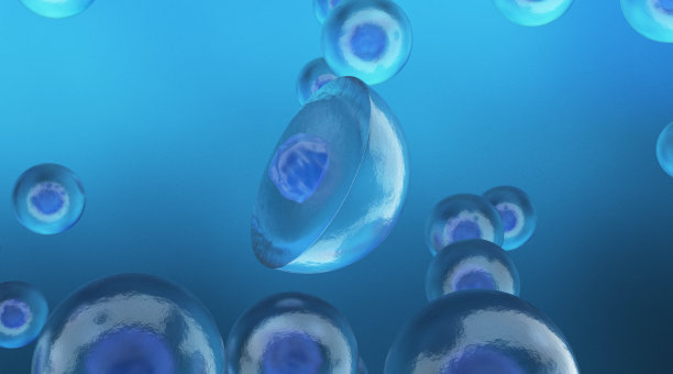 人类干细胞图片下载