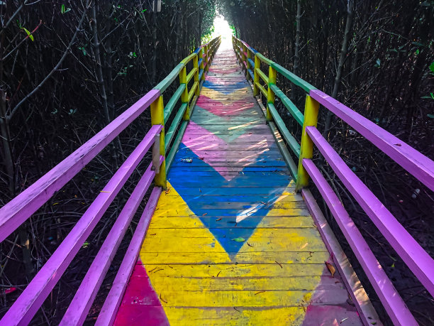 彩虹桥图片下载