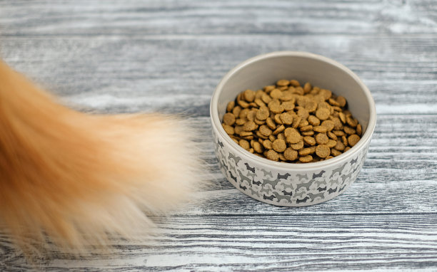 大姜猫尾巴和干宠物食品在陶瓷碗在灰色的木制背景。健康宠物食品概念图片下载