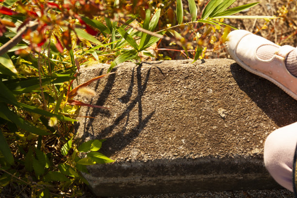 秋天的风景图片下载