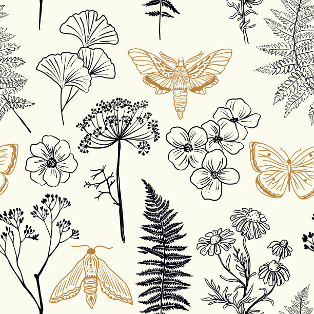 飞蛾、蝴蝶、草无缝图案。手绘纹理与植物元素:植物，花，草，浆果，蕨类，叶子。自然重复背景图片下载