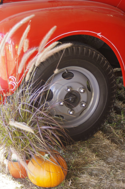 古董塔克轮图片下载