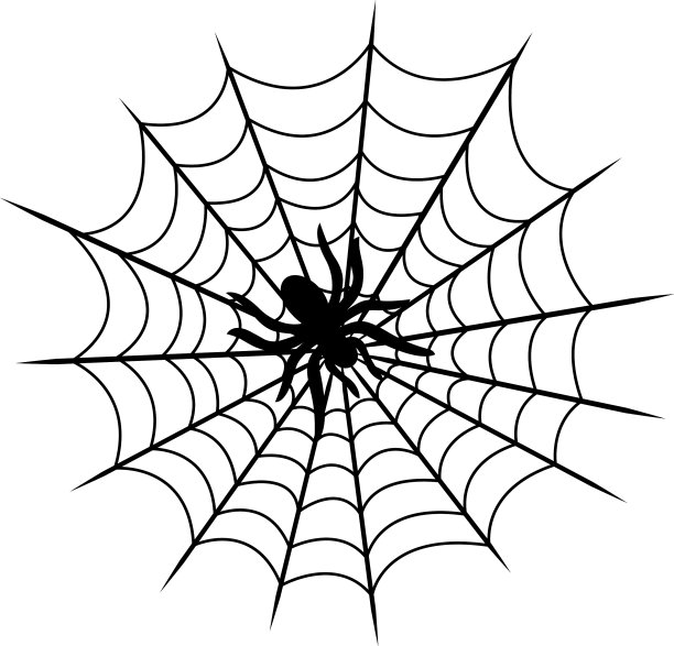 蜘蛛在蜘蛛网孤立图片下载