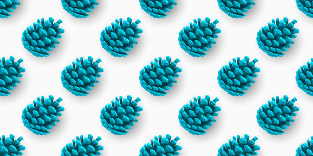 无缝抽象图案与蓝色画松果。孤立在白色的。包装设计模板。采购产品松果图标，象征，装饰，礼物。节日装饰图片下载