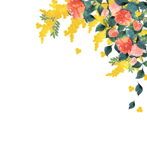 水彩玫瑰和含羞草花图片下载