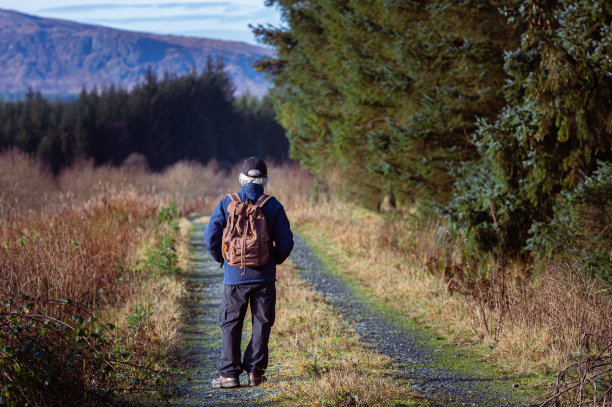 一位老人独自走在苏格兰西南部邓弗里斯和加洛韦的森林路上图片下载