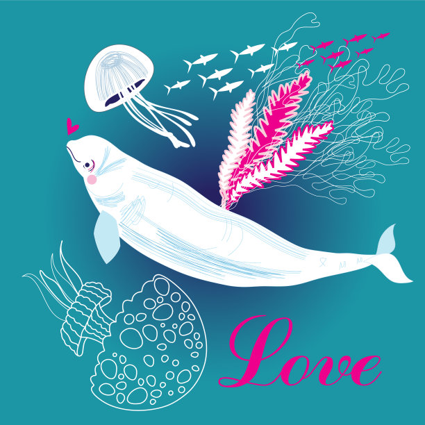 恋爱中的白鲸图片下载