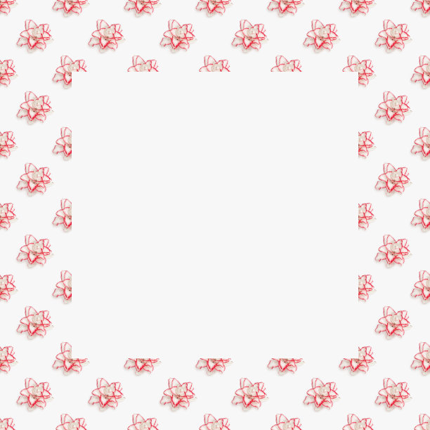 框花从盛开的精致的牡丹花百合，白色盛开的百合花与红色边框。花卉点缀图片下载