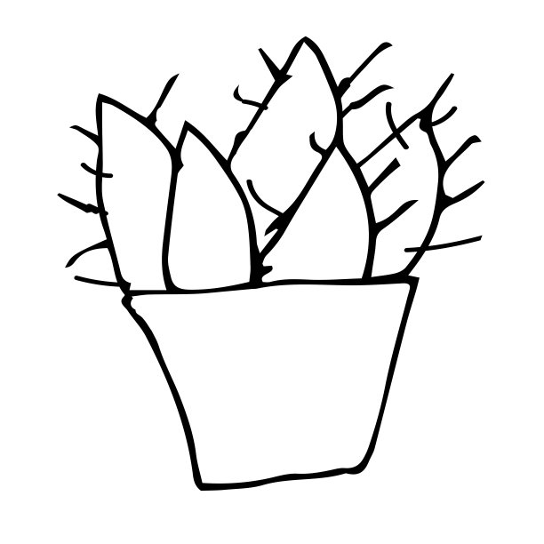 一只仙人掌放在罐子里，用黑色钢笔画画。白色背景手绘。室内植物。线性绘图，家居装饰。涂鸦风格。图片下载