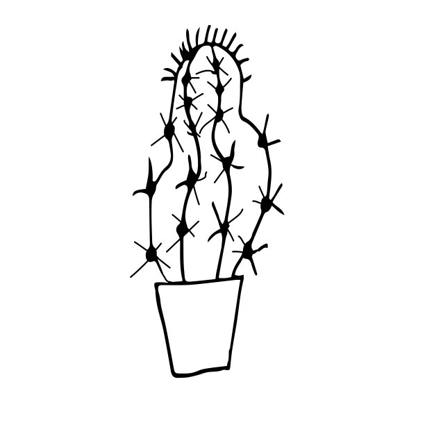 花盆里的一颗仙人掌，用黑色的笔画画。白底手绘，室内植物。线描，家居装饰。涂鸦风格。图片下载