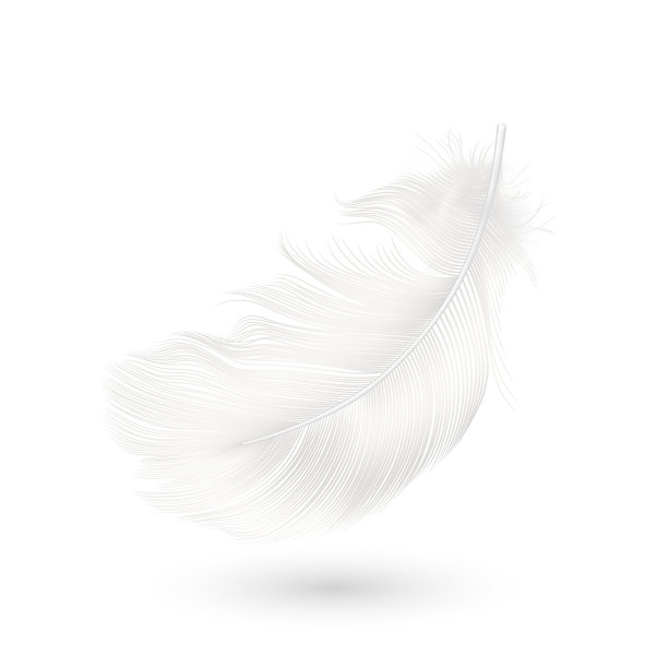 3d逼真的飘落白色毛绒旋转图片下载