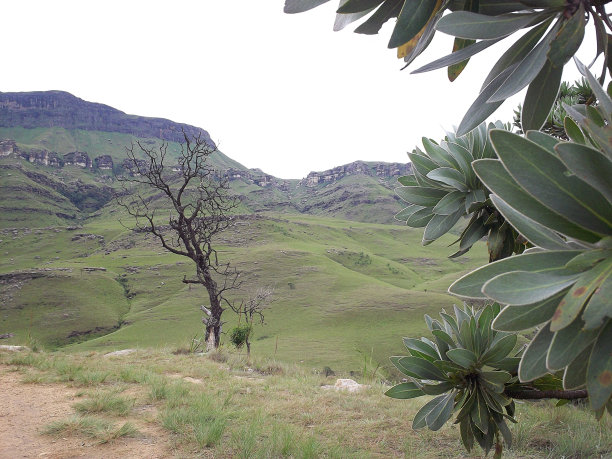 位于南非和莱索托王国之间的德拉肯斯堡山图片下载