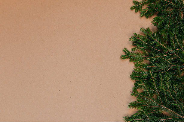 圣诞装饰平面布局与文字空间。纸板背景上的冷杉树枝。环保的圣诞饰品。北欧圣诞卡片。图片下载