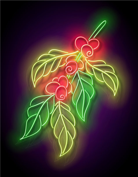 辉光枝咖啡树图片下载