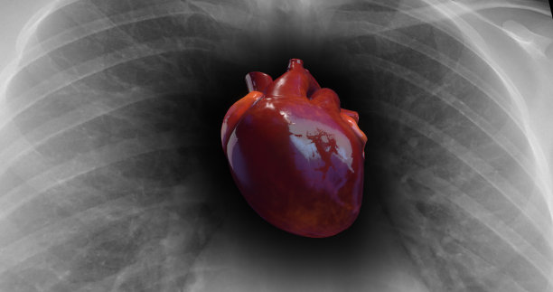 健康的心脏在跳动。背景上的x射线骨架。3D插图渲染图片下载