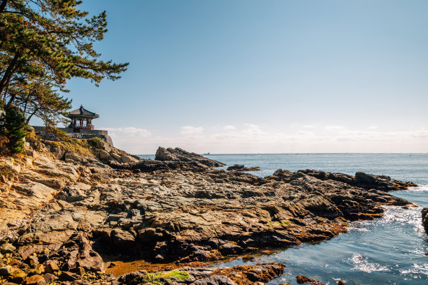 韩国釜山松jeong海滩柔道公园韩国传统凉亭图片下载