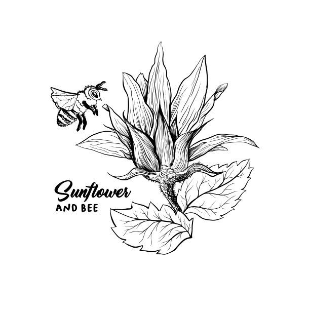 蜜蜂在花矢量插图图片下载
