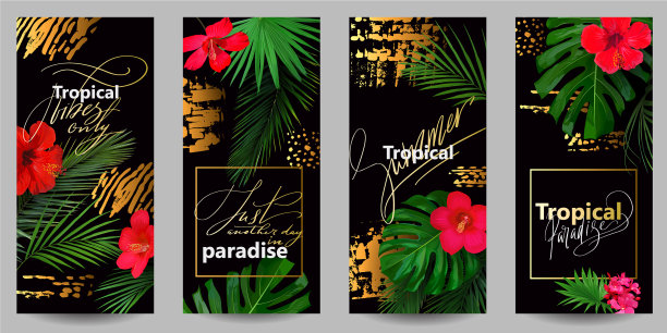 时尚的壁纸智能手机与热带图片下载